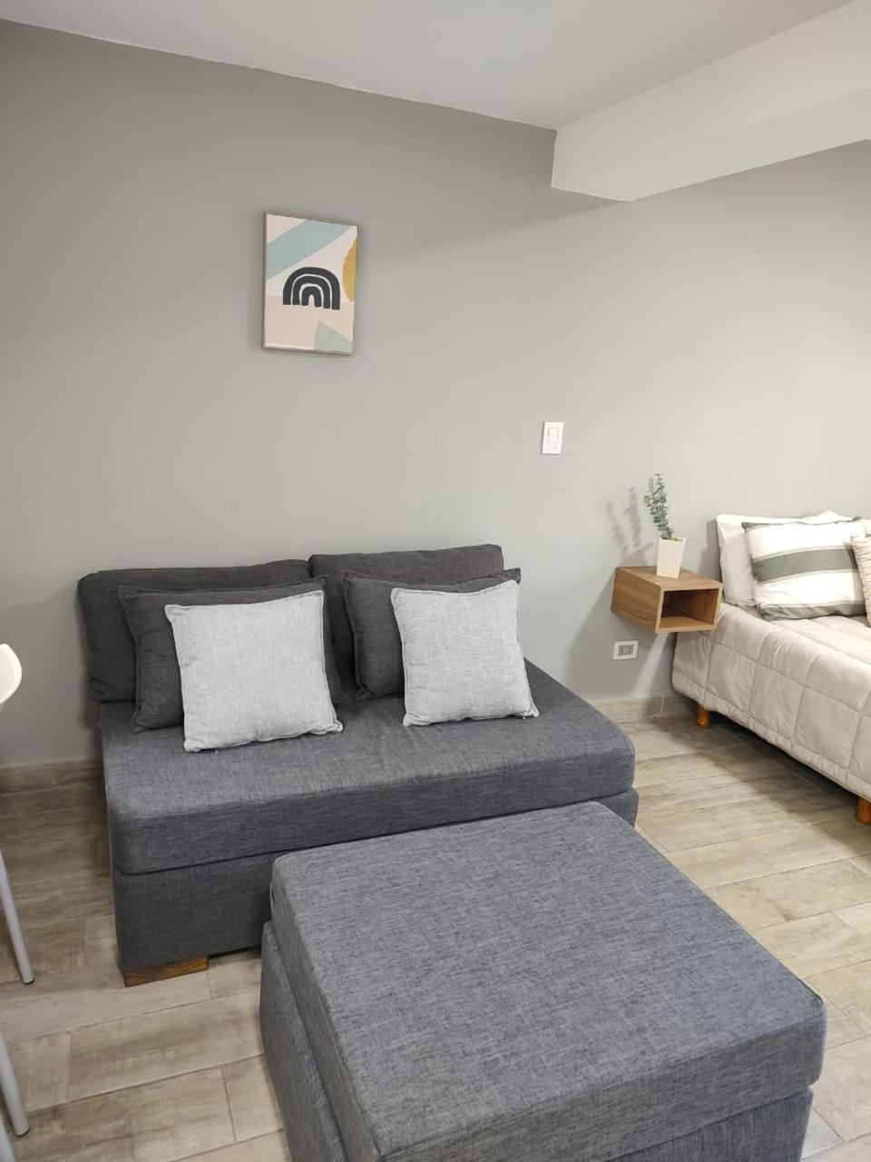 Apartment 356 - Mendoza
